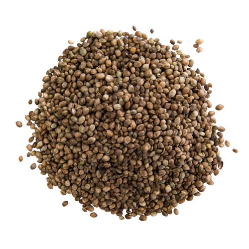 Coriander Seeds