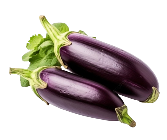 Big Brinjal