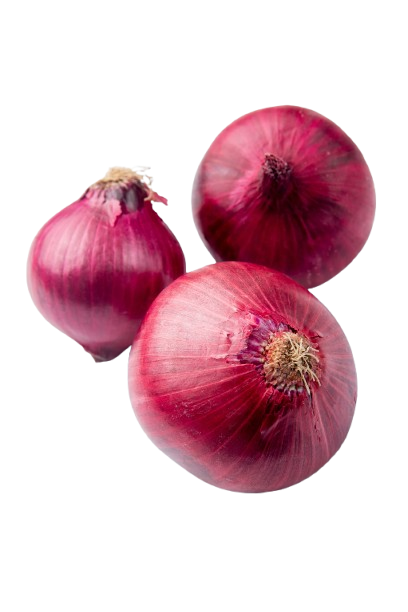 Onion